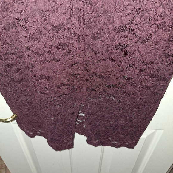 Express Lace Dress - Picture 5 of 12